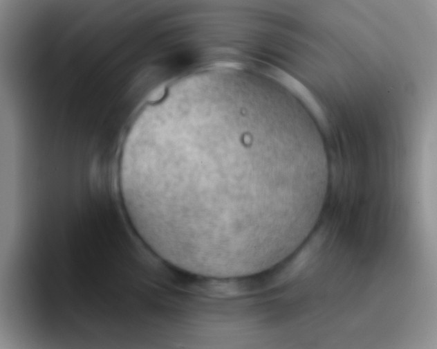 X0000092041194200709261945