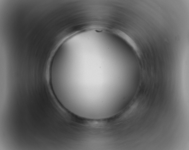 X0000092041195200709261945