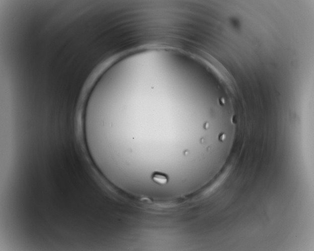 X0000092041196200709261945