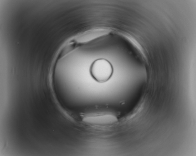 X0000092041197200709261945