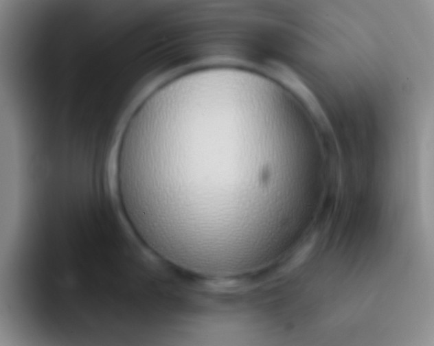 X0000092041199200709261945