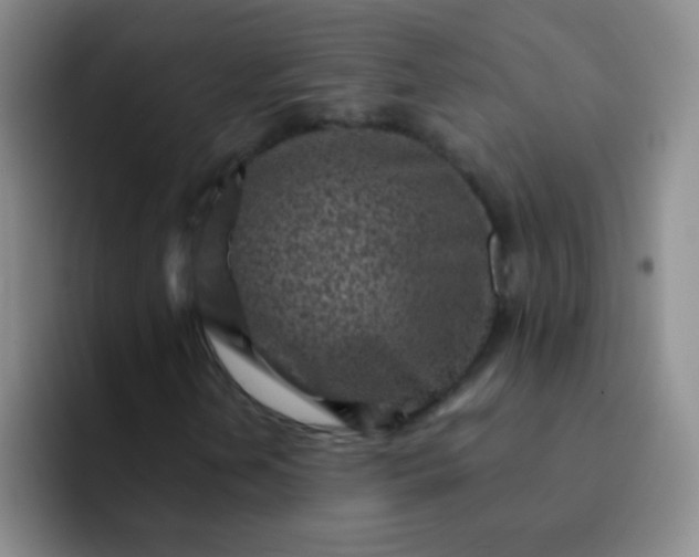 X0000092041202200709261944