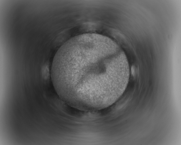 X0000092041203200709261944