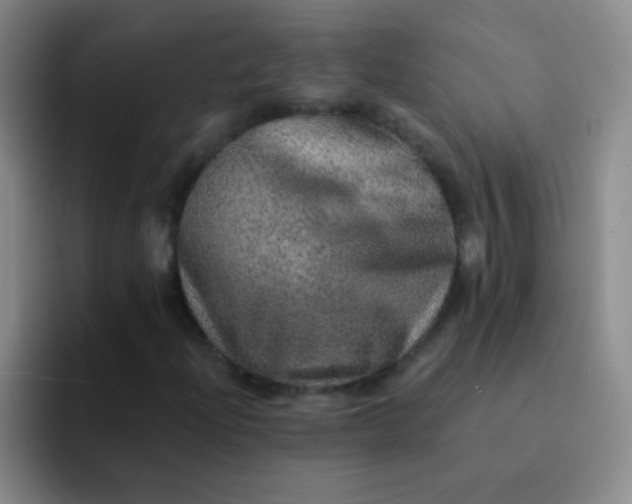 X0000092041204200709261944