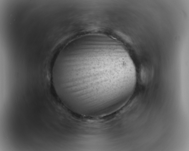 X0000092041206200709261944