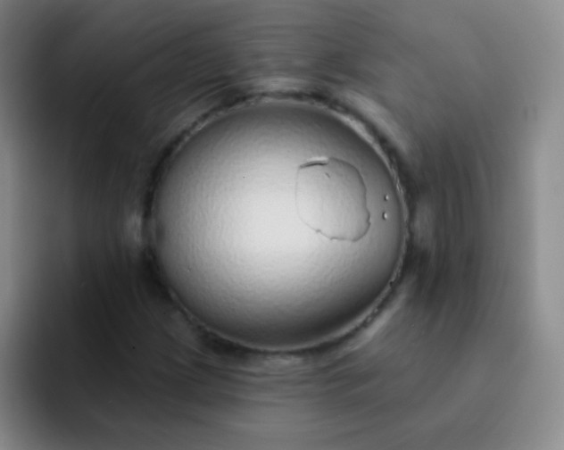 X0000092041209200709261944