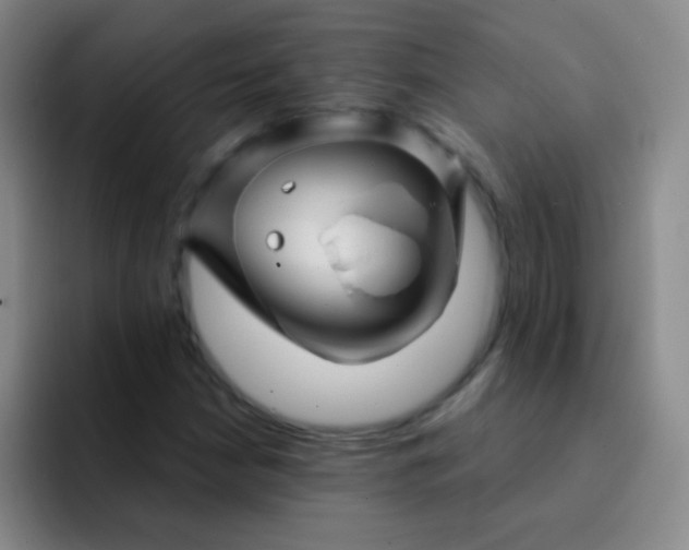 X0000092041210200709261944