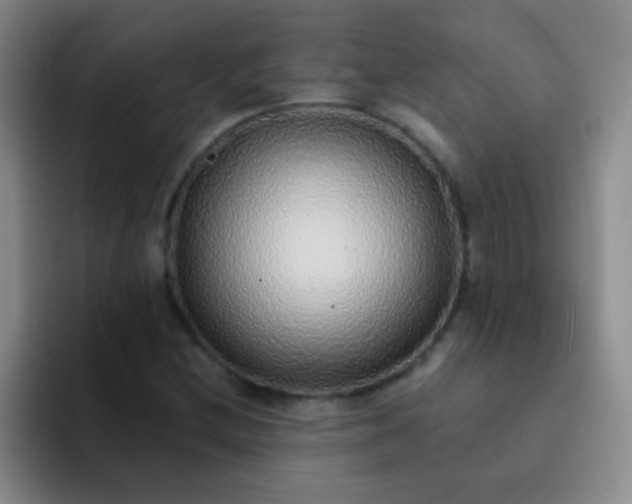 X0000092041212200709261944