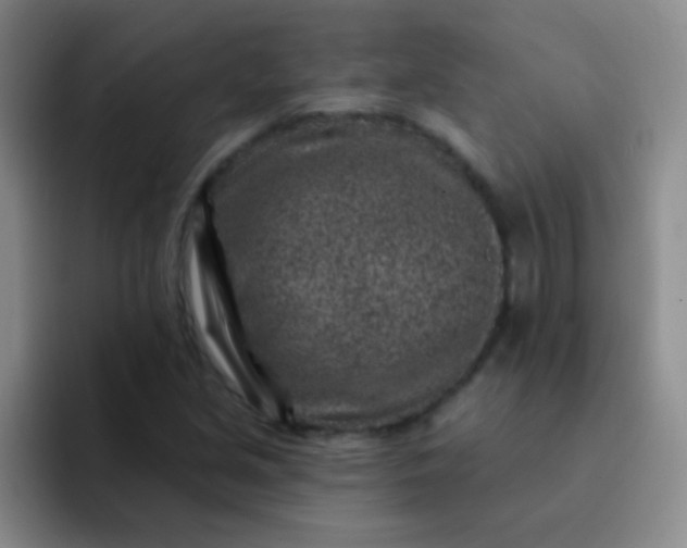 X0000092041213200709261944