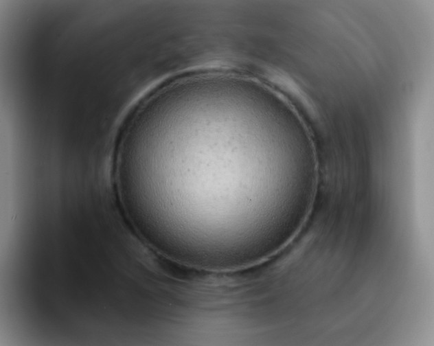 X0000092041216200709261944