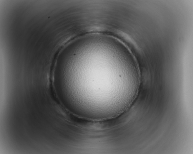 X0000092041217200709261944