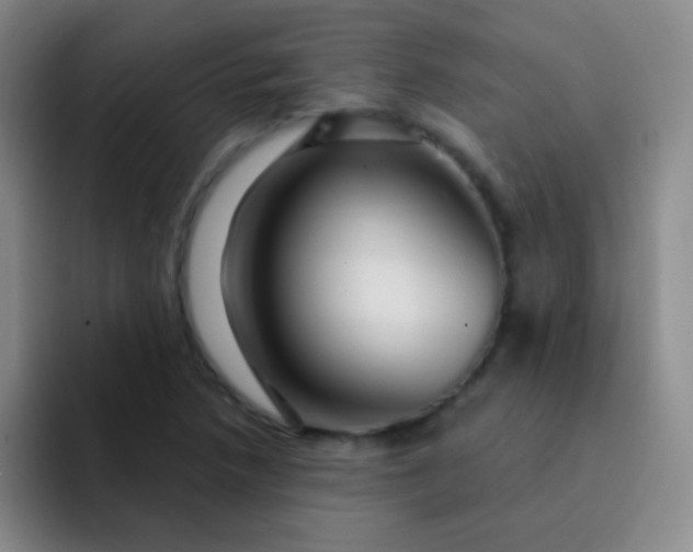 X0000092041218200709261944