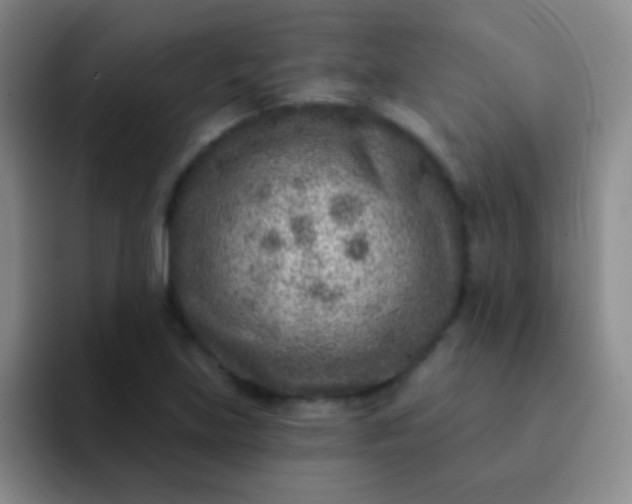 X0000092041219200709261944