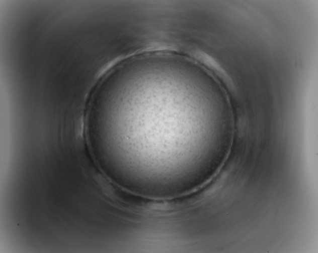 X0000092041220200709261944