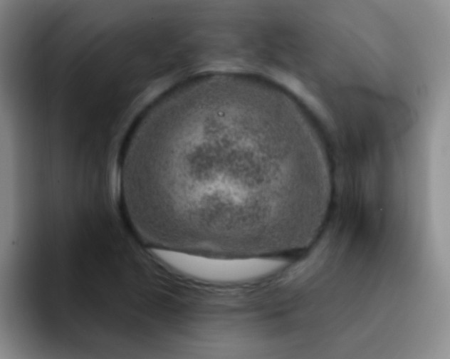 X0000092041221200709261944