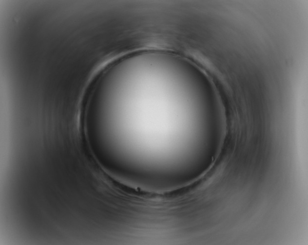 X0000092041222200709261944