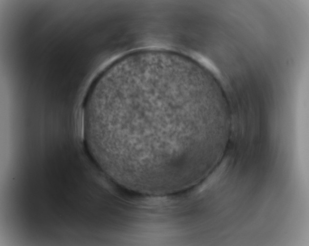 X0000092041223200709261944