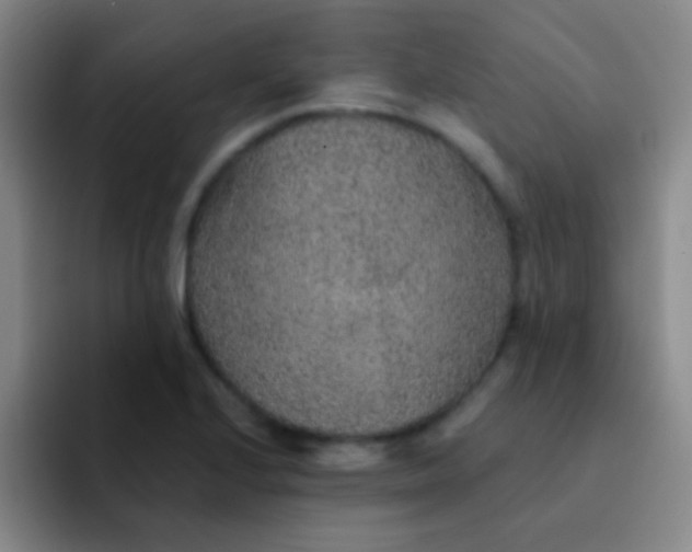 X0000092041224200709261944