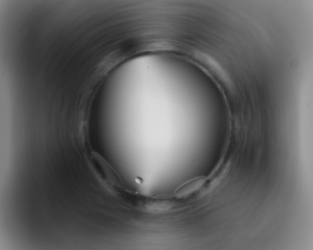 X0000092041225200709261944