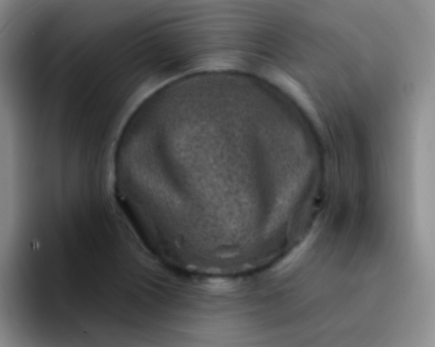 X0000092041226200709261944