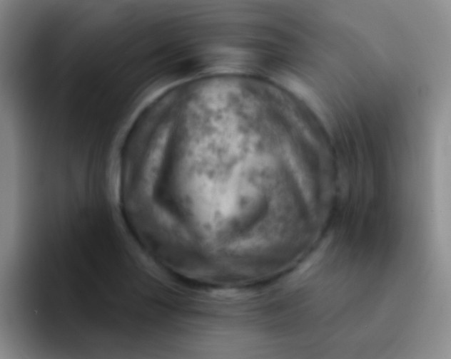 X0000092041227200709261944