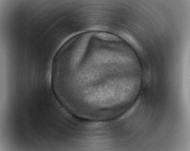 X0000092041228200709261944