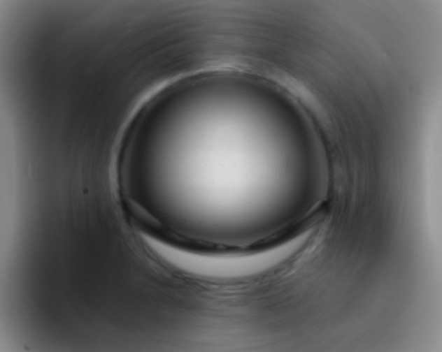 X0000092041230200709261944