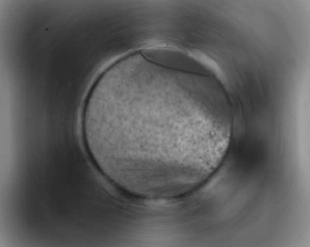 X0000092041231200709261944