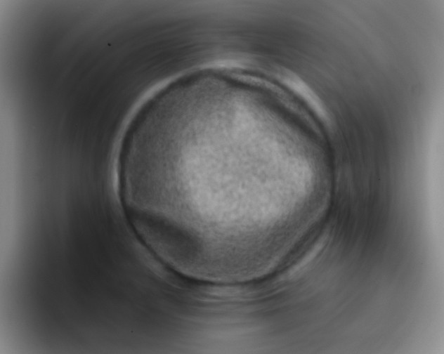 X0000092041232200709261944