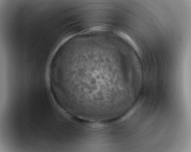 X0000092041235200709261944