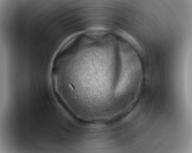 X0000092041236200709261944