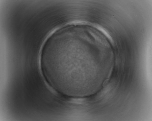 X0000092041237200709261944