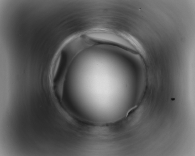 X0000092041238200709261944