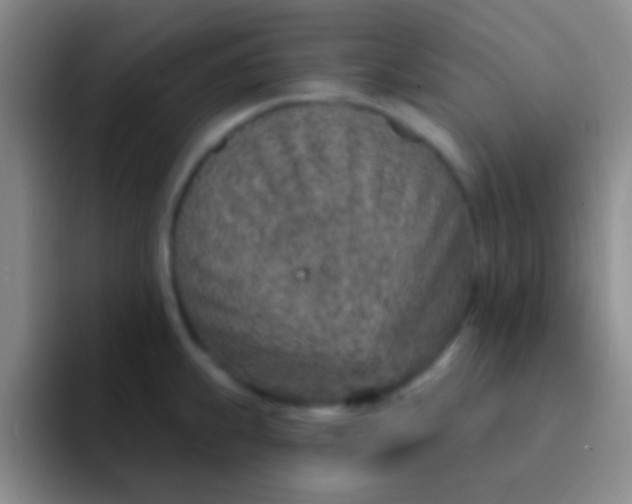 X0000092041239200709261945