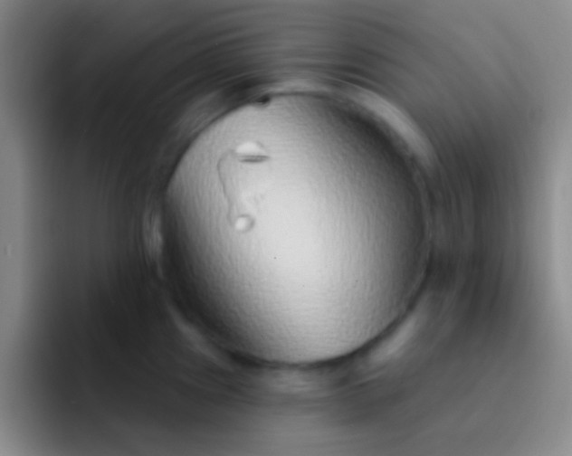 X0000092041241200709261945