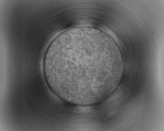 X0000092041243200709261945