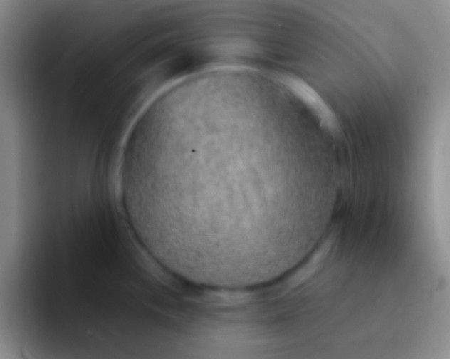 X0000092041244200709261945