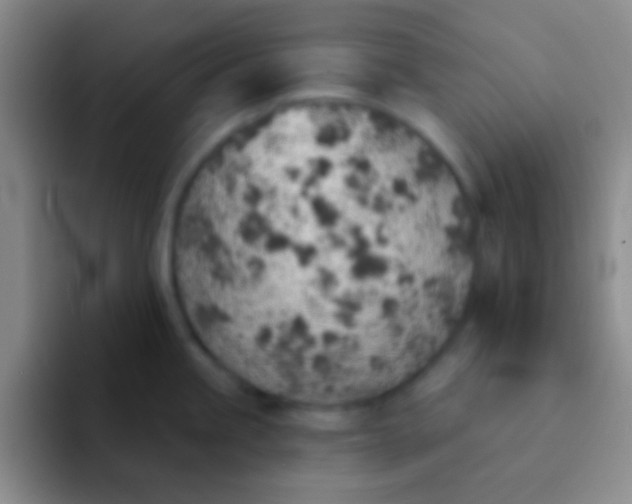 X0000092041245200709261945