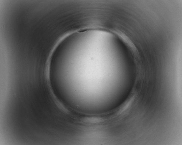 X0000092041246200709261945