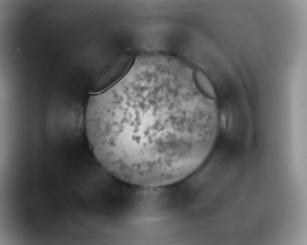 X0000092041251200709261944