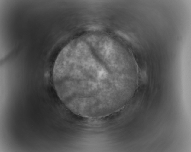 X0000092041254200709261944