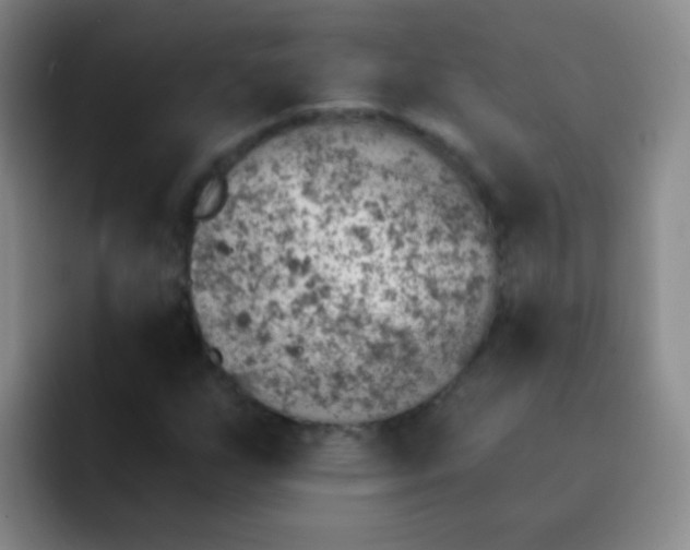 X0000092041255200709261944