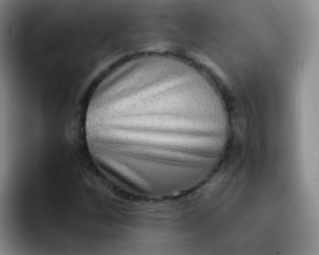 X0000092041256200709261944