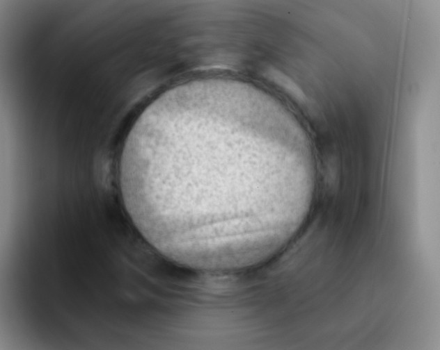 X0000092041258200709261944