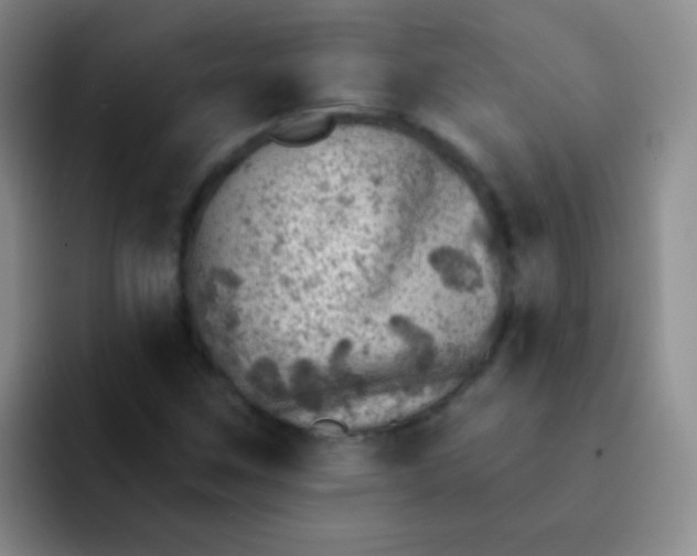 X0000092041259200709261944