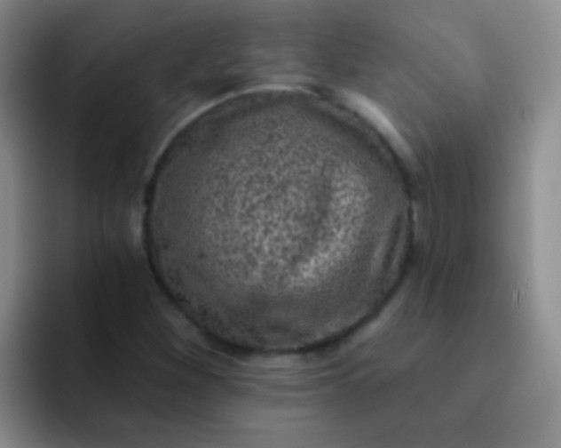 X0000092041260200709261944