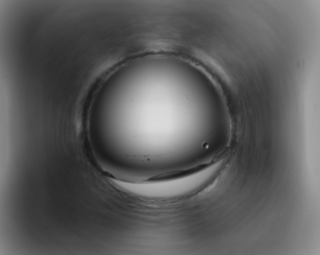 X0000092041261200709261944