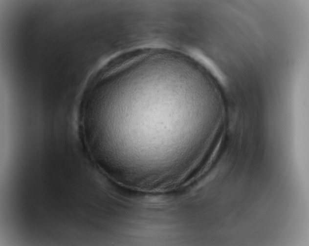 X0000092041264200709261944