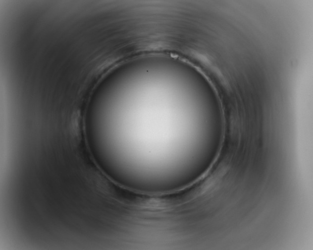 X0000092041265200709261944