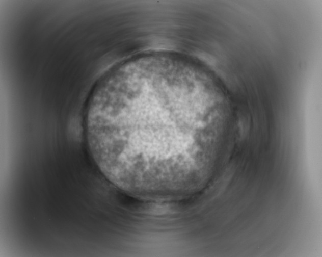 X0000092041266200709261944